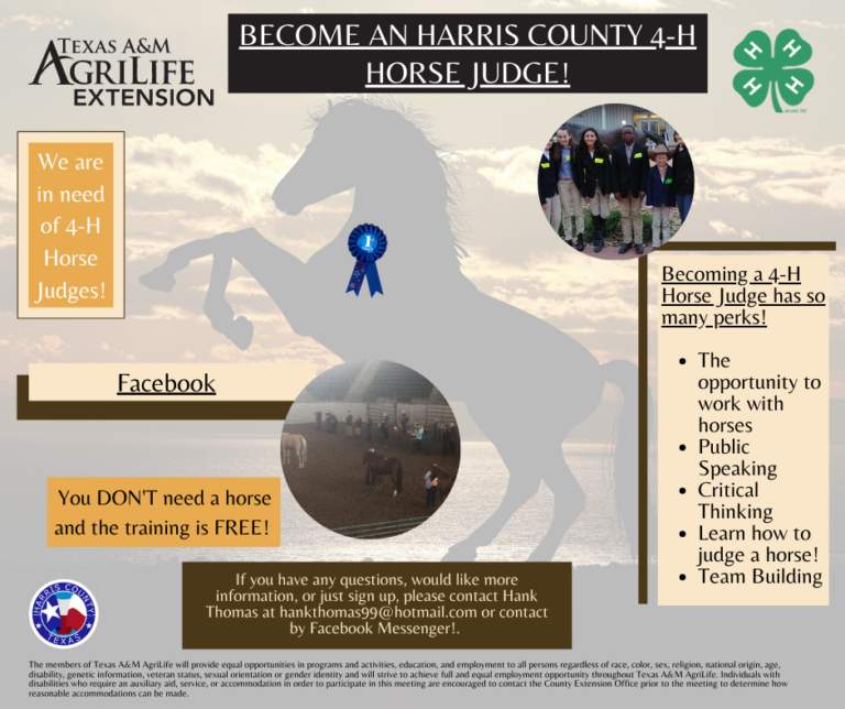 Horse Judging Harris County 4H