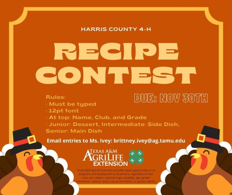 Recipe Contest Rules