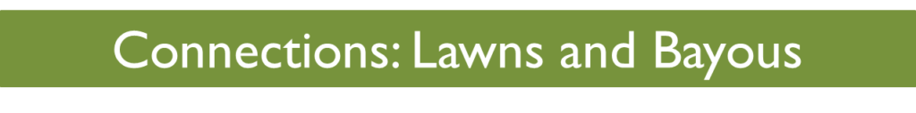 lawn and bayous