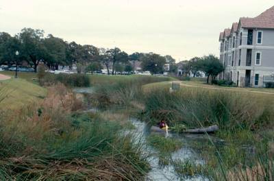 urbanwetland