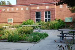 butterfly garden