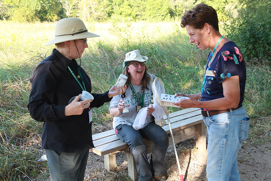 insect collectors in the field