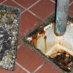 Dirty floor drains can lead to several pest problems including drain flies 