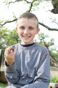 Boy is holding a golden desert millipede