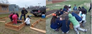 3rd Graders building and planting vegetable gardens in Dallas Texas