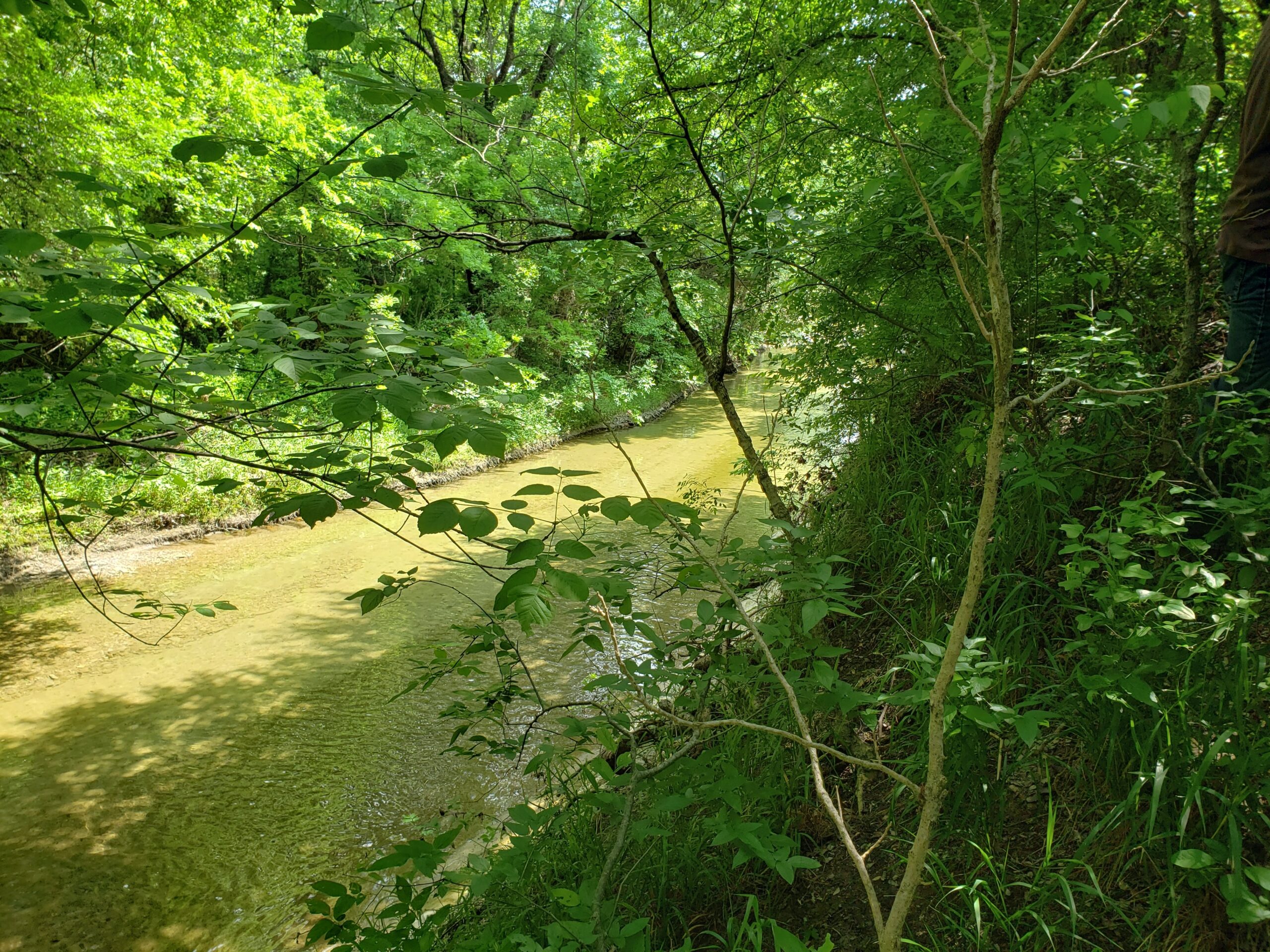 Rowlett Creek (Photo credit: Fouad Jaber)