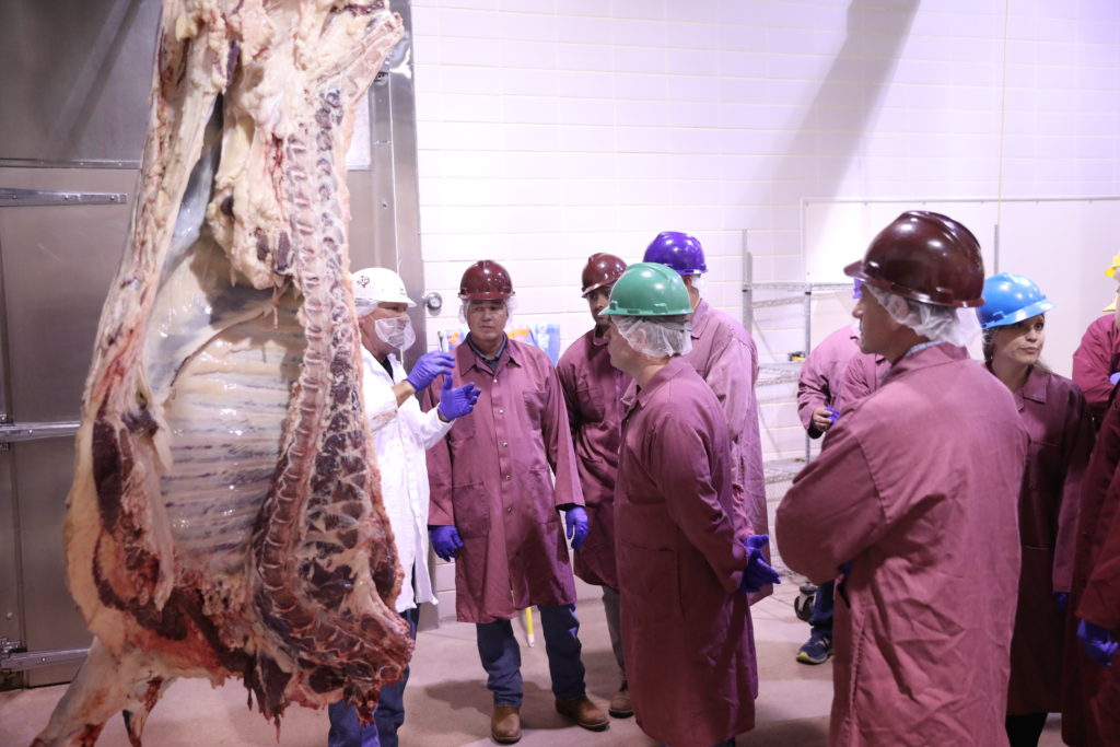 Ray Riley discussed beef carcass safety and HACCP at the Rosenthal Center.