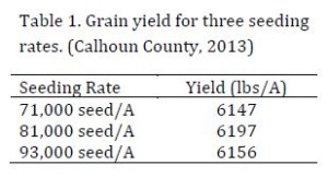 Calhoun 2013 seeding Rates