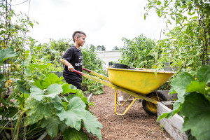 gardening