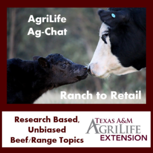 AgriLife Ag-Chat Podcast Picture