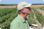 Man in a field