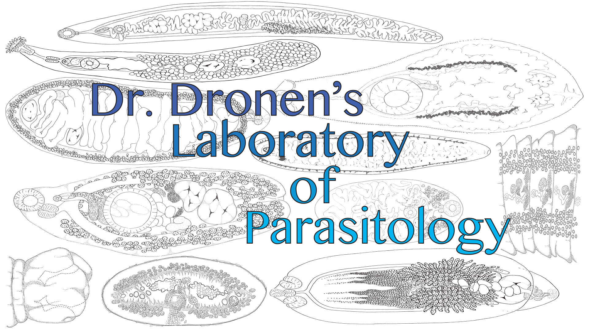 Laboratory of Parasitology