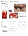 Beta Agonits in Beef Cattle