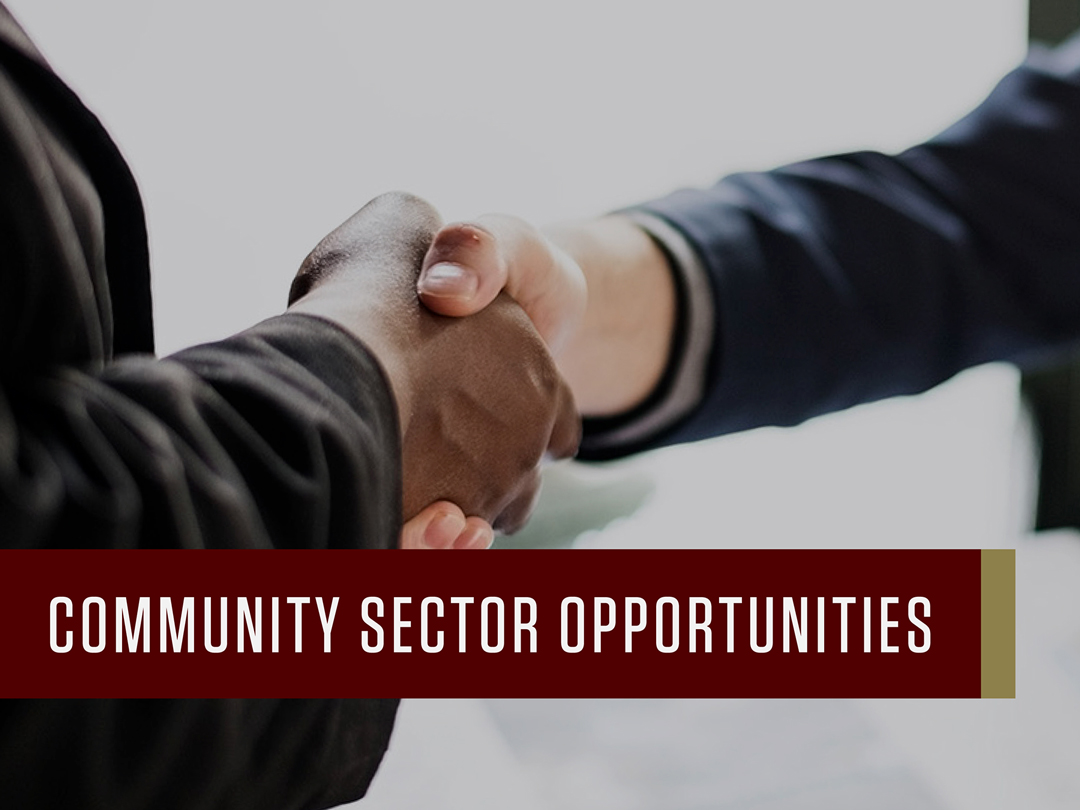 Resilient Texas Community Sector Opportunities