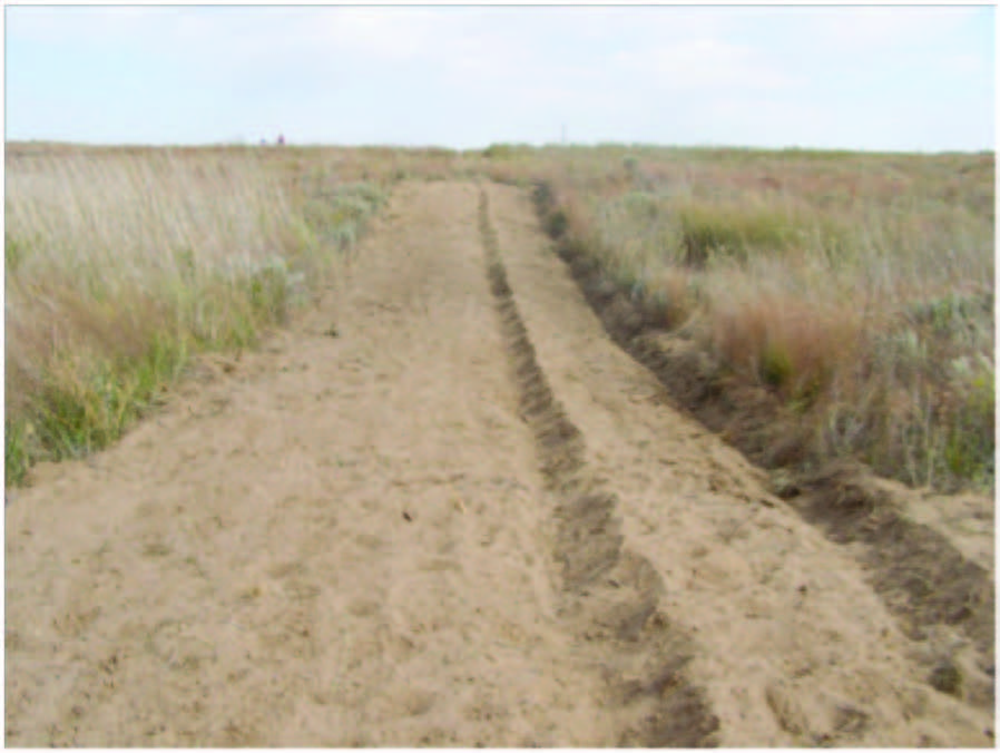 E-1010 Oklahoma Prescribed Burning Handbook - Firebreaks - Disked Lines