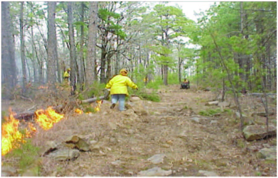 E-1010 Oklahoma Prescribed Burning Handbook - Firebreaks - Dozed Lines