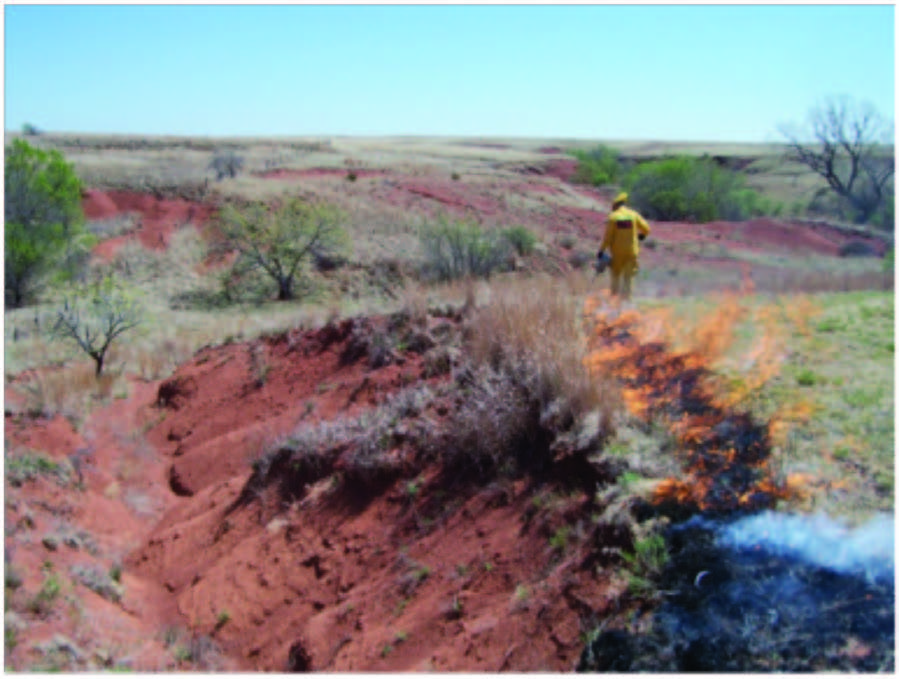 E-1010 Oklahoma Prescribed Burning Handbook - Firebreaks - Natural Barriers