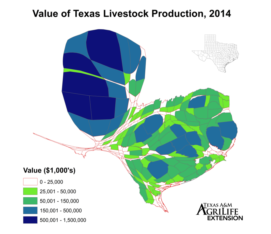 Texas Livestock