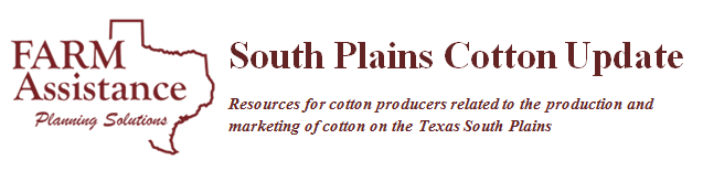 South Plains Cotton Update