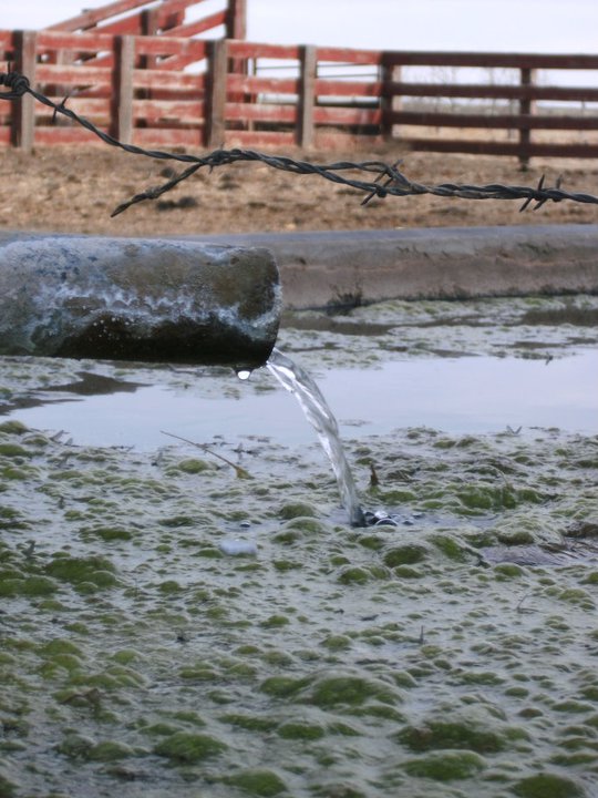 Texas Water Groundwater Conservation Districts (Part I) Texas Agriculture Law