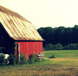 barn