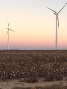 turbines and cotton