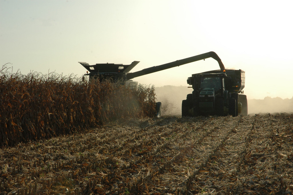 Texas A&M Agrilife Extension photo by Robert Burns