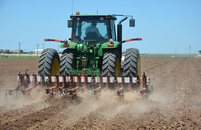 Texas A&M Agrilife photo by Kay Ledbetter