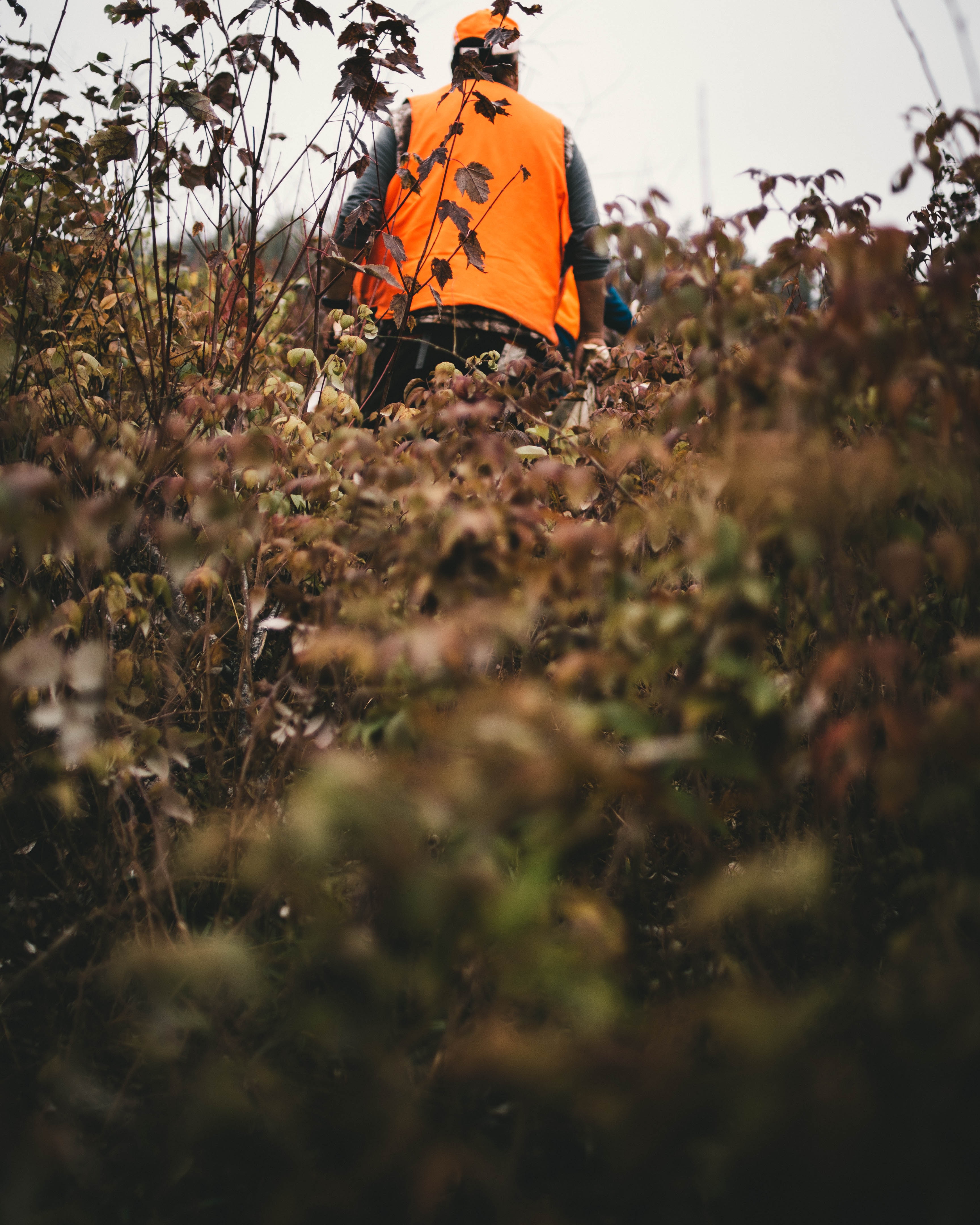Questions from Tiffany's Desk: What Documentation Should I Have for Hunters  on My Property? - Texas Agriculture Law