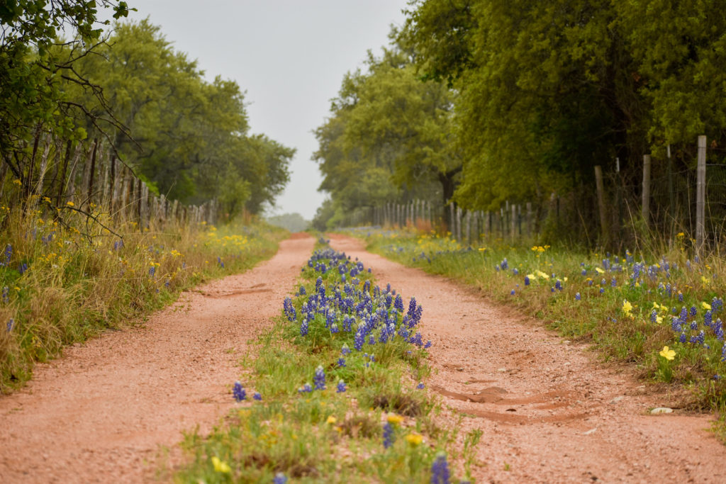 2018 Texas Rural Land Value Trends Published - Texas Agriculture Law