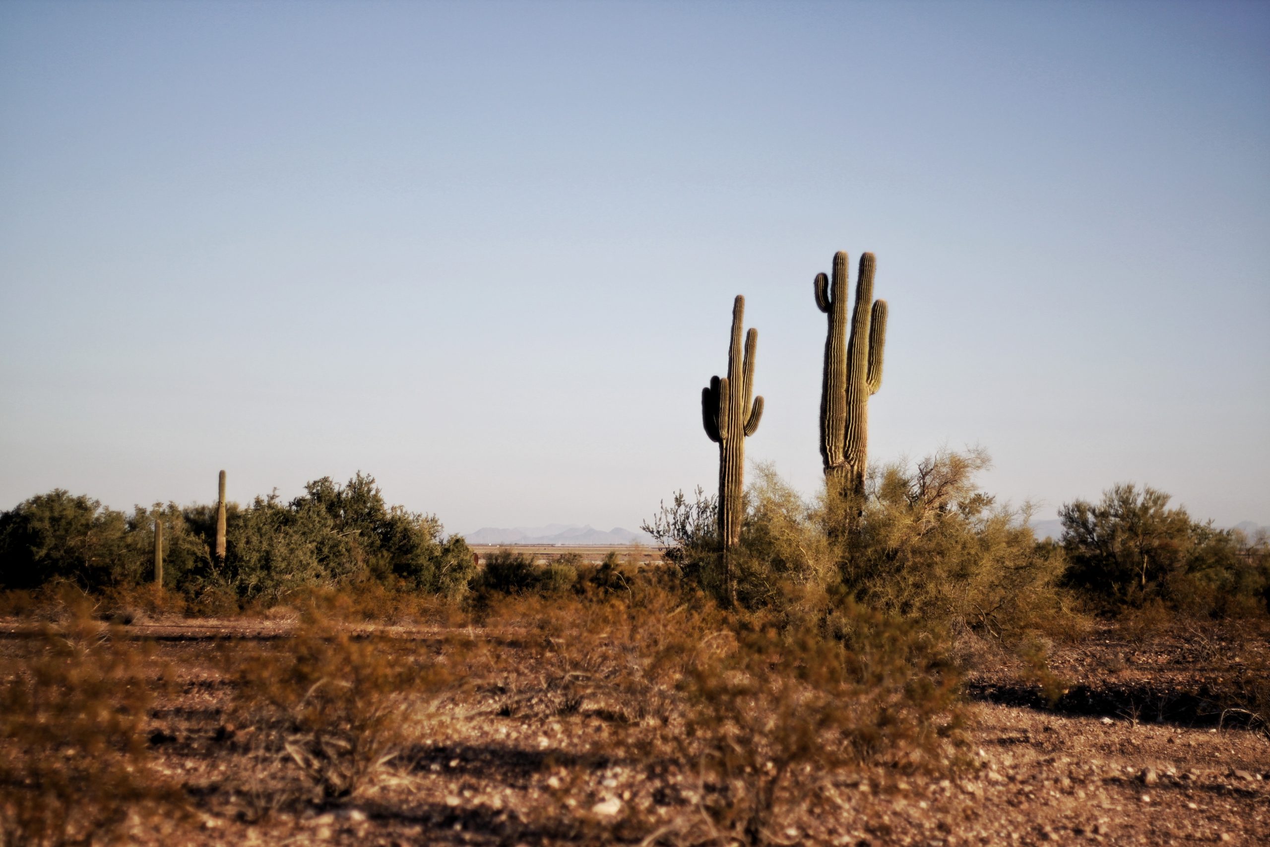 2019-rural-land-value-trends-report-texas-agriculture-law