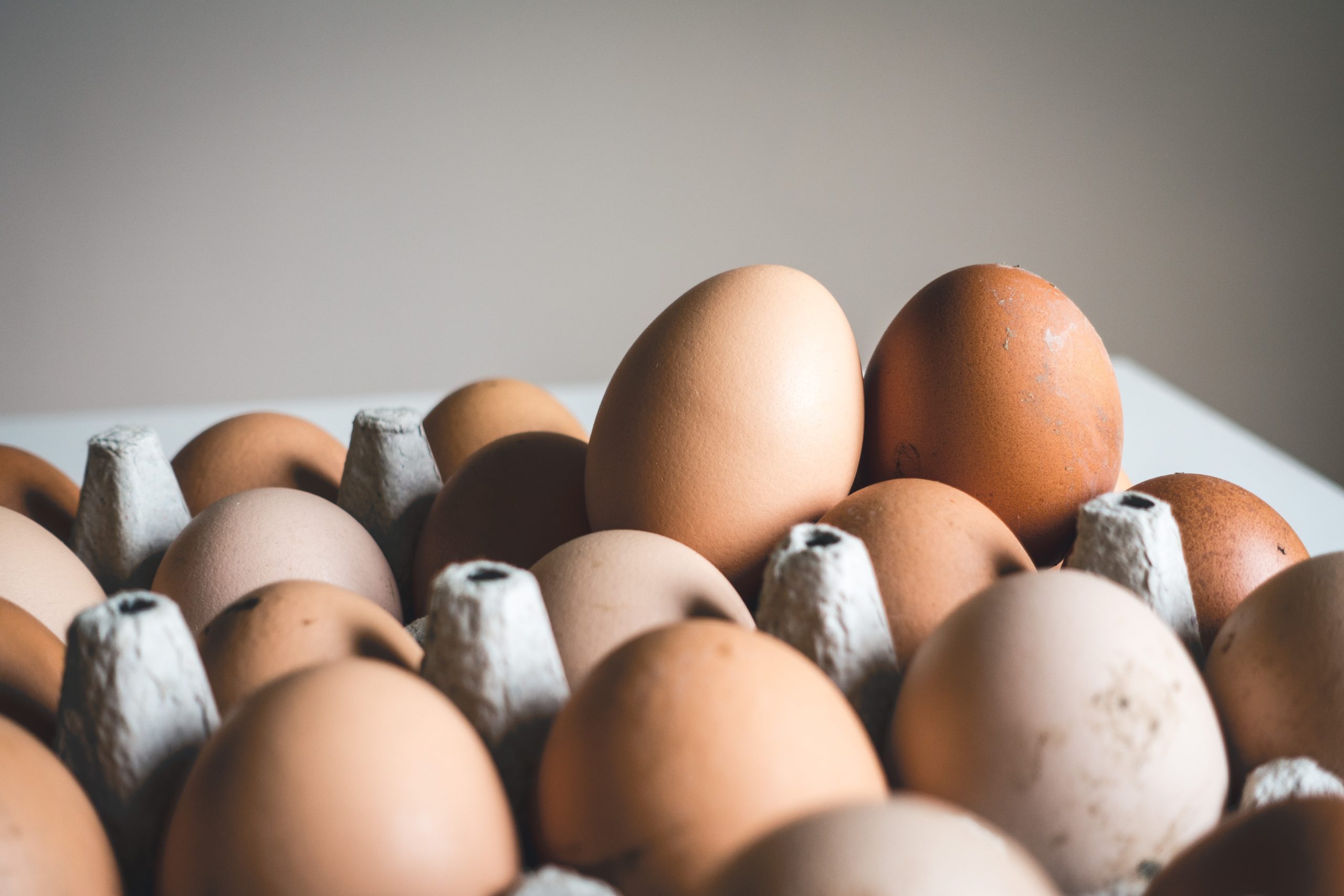 Egg Pricing Case Going Forward; Petition for Review at Texas Supreme Court  - Texas Agriculture Law