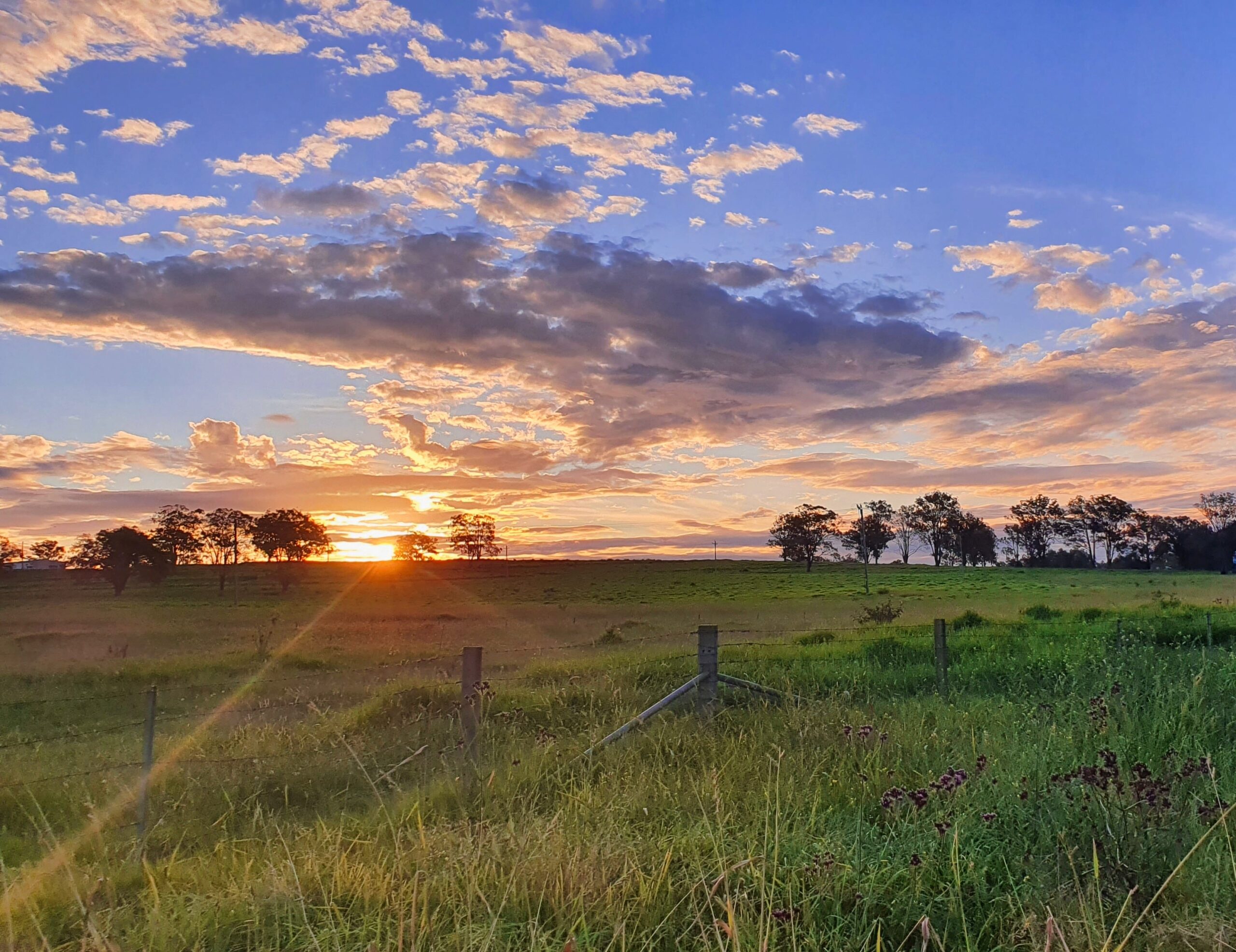 2023 Ag Law Year in Review - National - Texas Agriculture Law