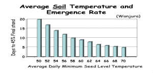 Average Soil Temp
