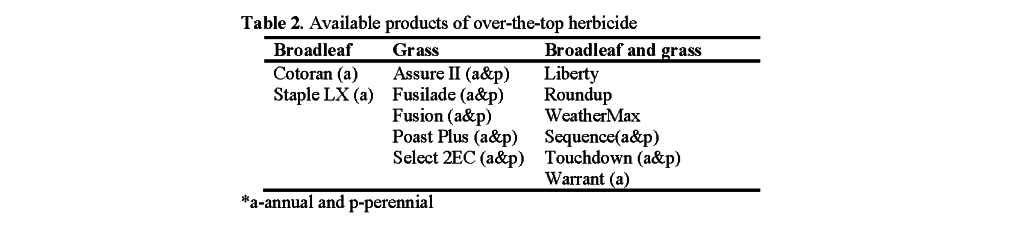 Postemergene weed management 2