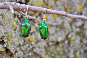 beetle-earrings