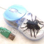 spider-computer-mouse