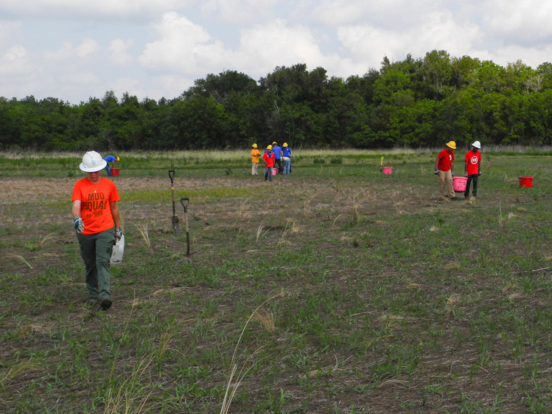 SCA Volunteers planting a restoration site