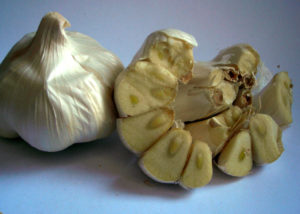 Garlic is a good crop for vegetable gardening in October