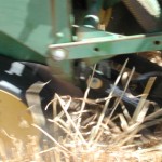 Planting sorghum or cotton into wheat stubble