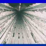  chicken egg-laying facility