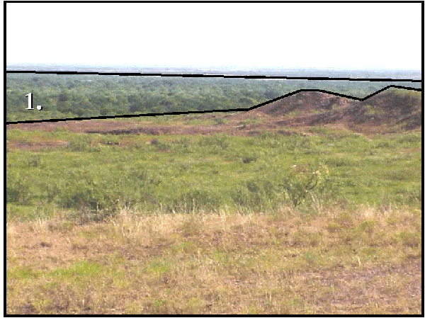 Loamy Bottomland; Texas AgriLife Research & Extension Center at Vernon