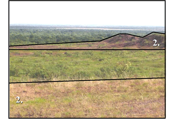 Shallow Clay; Texas AgriLife Research & Extension Center at Vernon