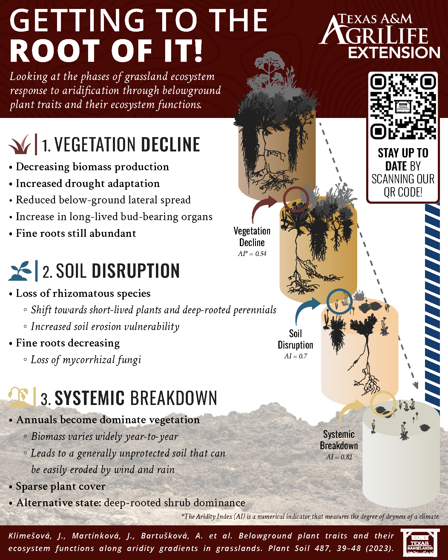 getting to the root of it infographic