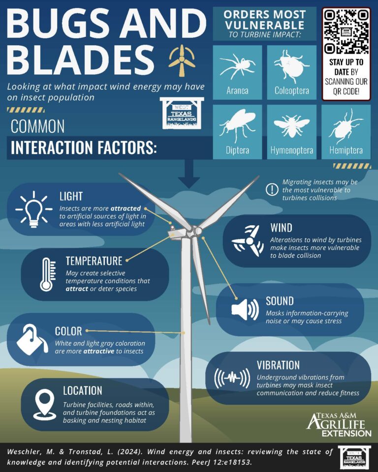 Insects Rangeland Bugs and Blades: The Overlooked Impact of Wind Energy on Insects - West ...