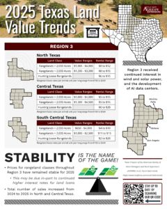 Infographic detailing 2025 Texas Land Value Trends for Region 3, presenting data for North, Central, and South Central Texas, including land classes, value ranges, and rental ranges. The infographic highlights regional stability and increased sales, with a map illustrating key cities and areas within Region 3.