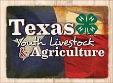 tx4-H livestock