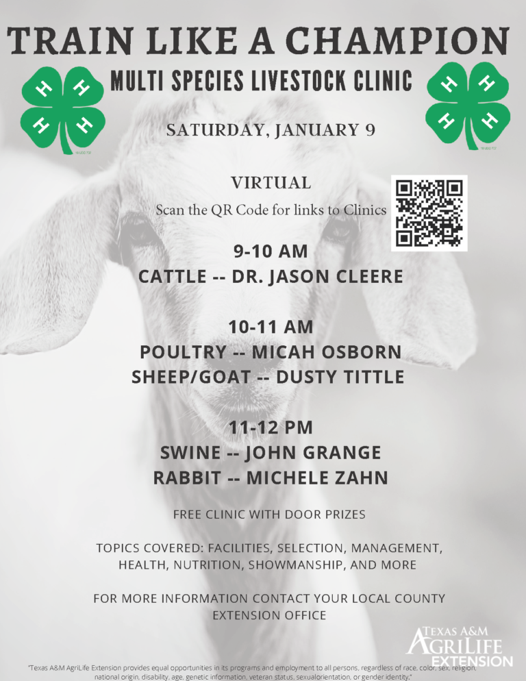 Train Like A Champion Multi Species Livestock Clinic Jan 9 Wharton