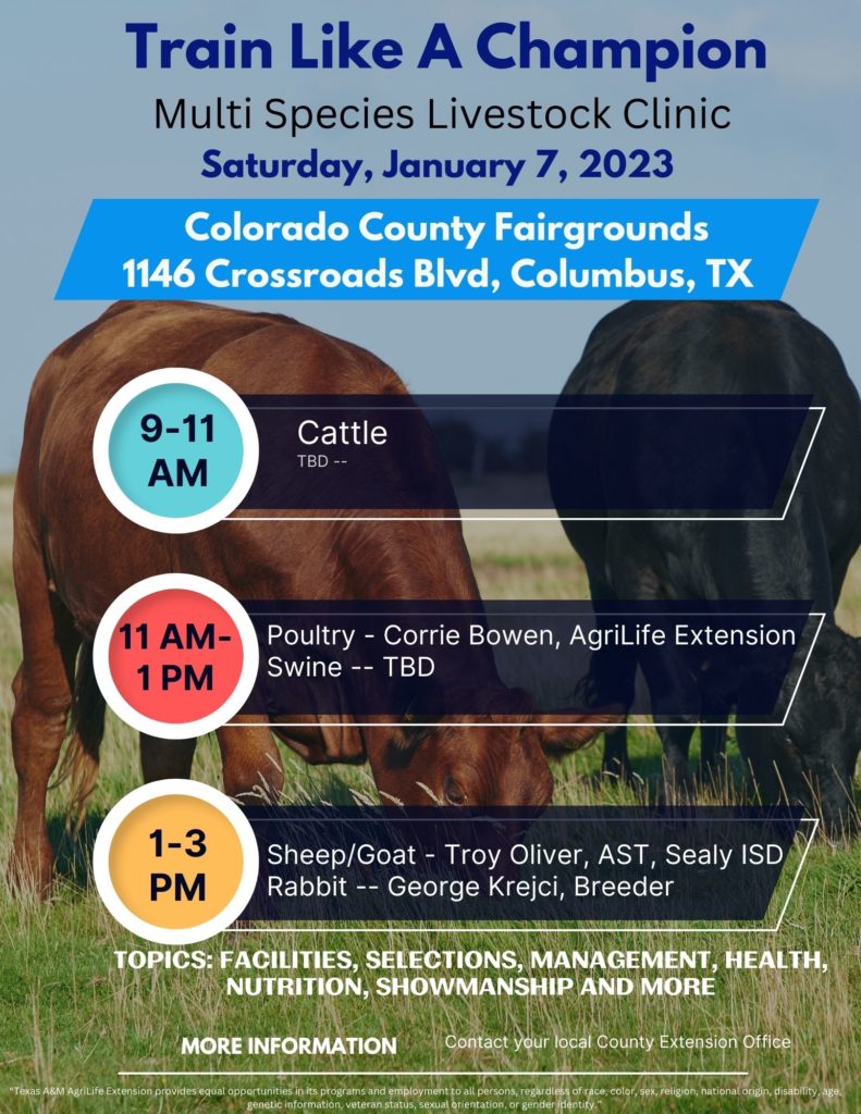 Train Like a Champion Livestock Clinic Wharton County 4H