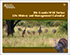 Rio Grande Wild Turkey Life History and Management Calendar